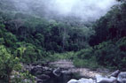 Chester Gorge, McIlwraith